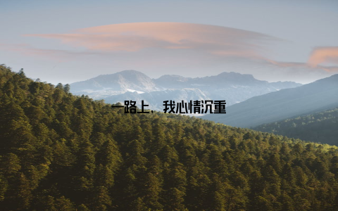 一路上, 我心情沉重