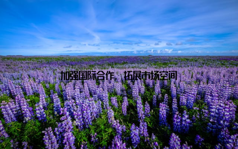 加强国际合作, 拓展市场空间