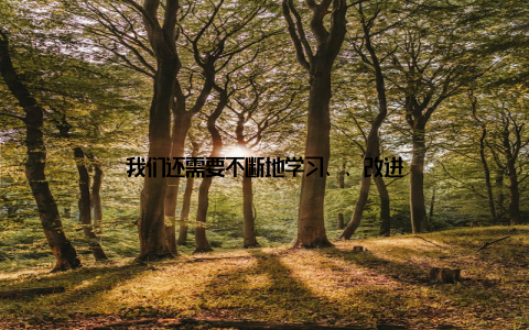我们还需要不断地学习、、改进