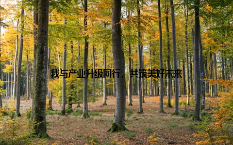 我与产业升级同行, 共筑美好未来