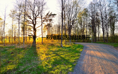 下午, 一系列精彩活动陆续展开