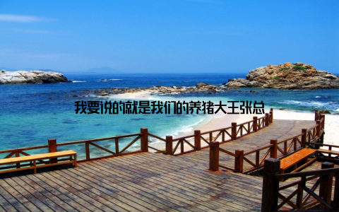 我要说的就是我们的养猪大王张总