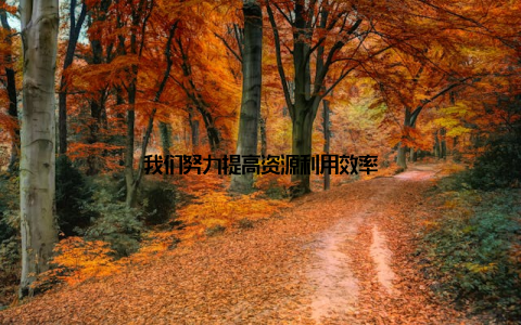 我们努力提高资源利用效率