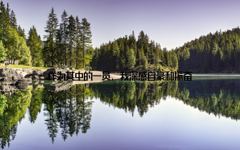 作为其中的一员, 我深感自豪和振奋