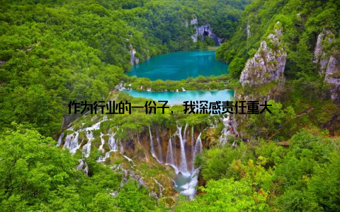 作为行业的一份子, 我深感责任重大