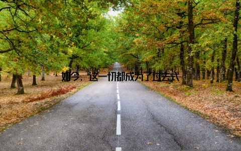 如今, 这一切都成为了过去式