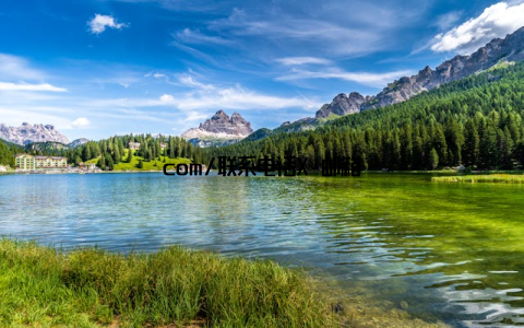 com/联系电话X–邮箱