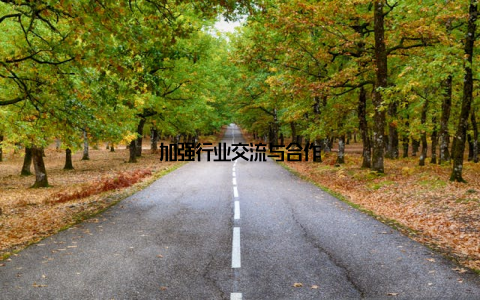 加强行业交流与合作