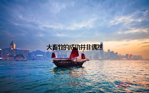 大畜牧的成功并非偶然