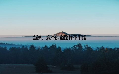 当然, 变革的道路并不平坦