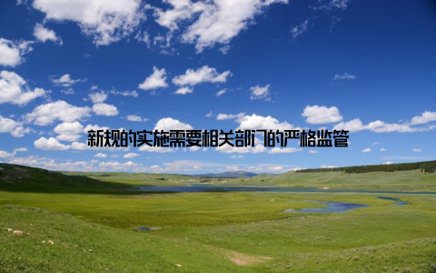 新规的实施需要相关部门的严格监管