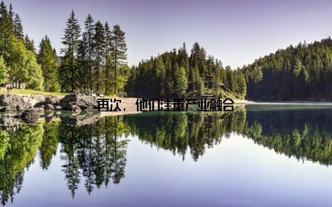 再次, 他们注重产业融合