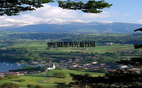 他们就是寿光畜牧局