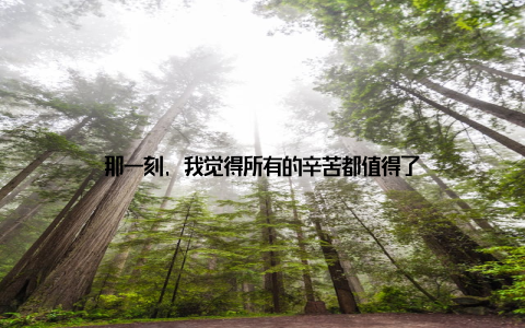 那一刻, 我觉得所有的辛苦都值得了