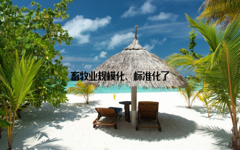 畜牧业规模化、标准化了