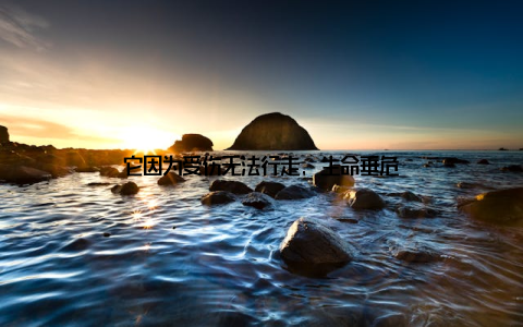 它因为受伤无法行走, 生命垂危