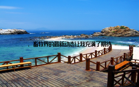 , 畜牧界的最新动态让我充满了期待