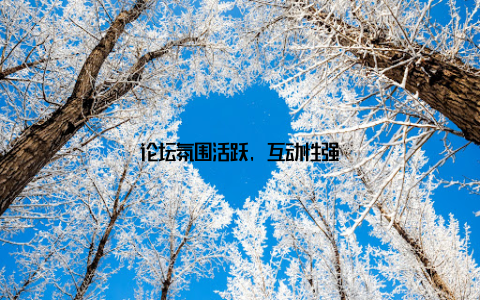 论坛氛围活跃, 互动性强