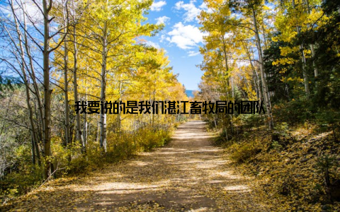 我要说的是我们湛江畜牧局的团队