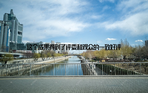 这个成果得到了评委和观众的一致好评