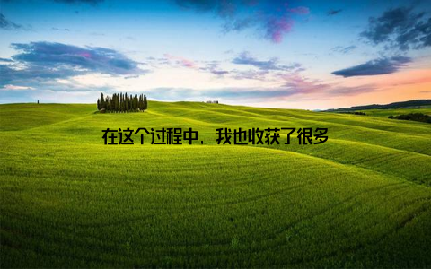 在这个过程中, 我也收获了很多