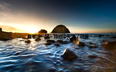 看着这一切, 我心中充满了敬佩