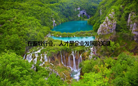 在畜牧行业, 人才是企业发展的关键