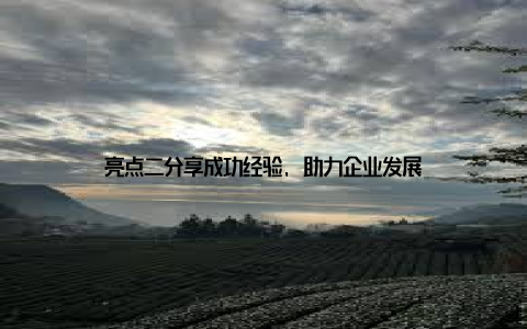 亮点二分享成功经验, 助力企业发展