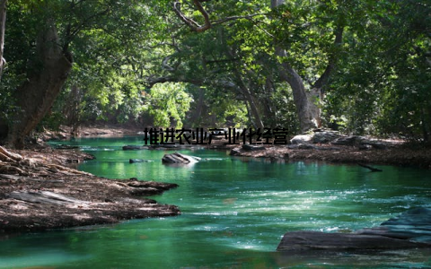 推进农业产业化经营