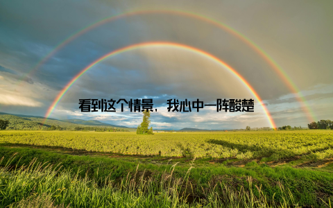 看到这个情景, 我心中一阵酸楚