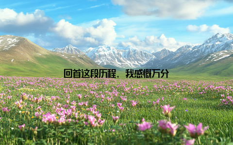 回首这段历程, 我感慨万分