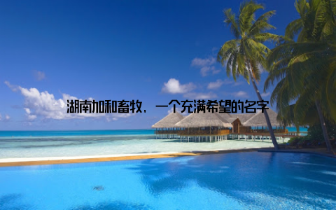 湖南加和畜牧, 一个充满希望的名字