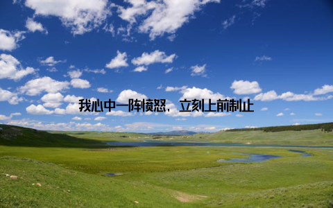 我心中一阵愤怒, 立刻上前制止