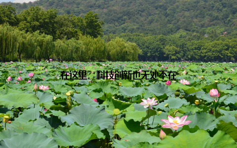 在这里, 科技创新也无处不在