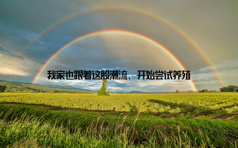 我家也跟着这股潮流, 开始尝试养殖