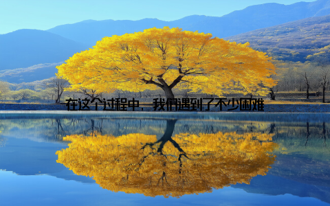 在这个过程中, 我们遇到了不少困难