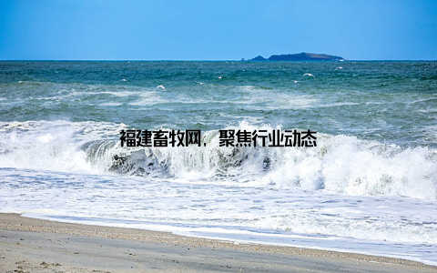 福建畜牧网, 聚焦行业动态