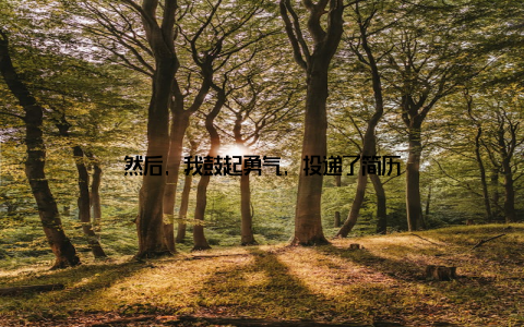 然后, 我鼓起勇气, 投递了简历