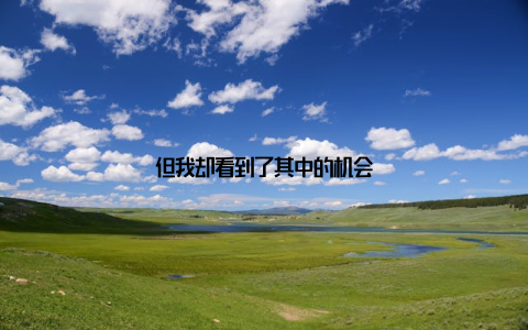 但我却看到了其中的机会