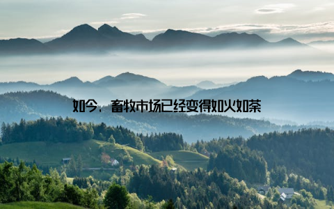 如今, 畜牧市场已经变得如火如荼