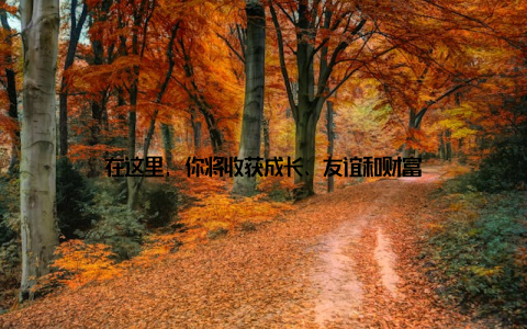 在这里, 你将收获成长、友谊和财富