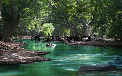 创新, 是我们公司发展的灵魂