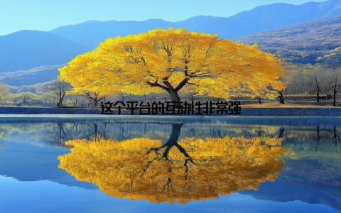 这个平台的互动性非常强