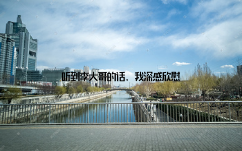 听到李大哥的话, 我深感欣慰