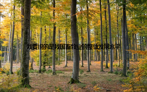 我要说的是我国畜牧业的整体发展水平