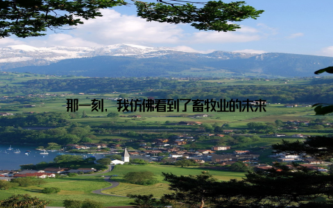 那一刻, 我仿佛看到了畜牧业的未来