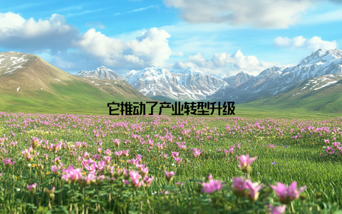 它推动了产业转型升级