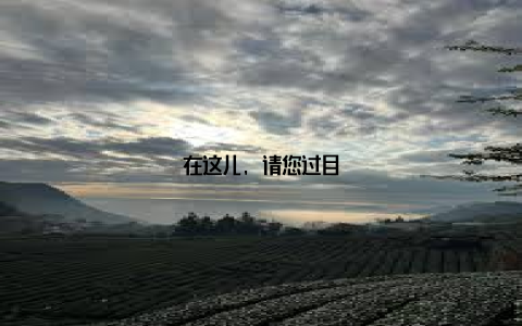 在这儿, 请您过目
