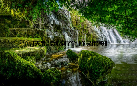 几天后, 我收到了企业的录用通知