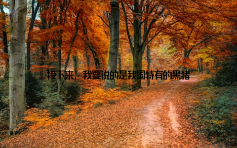 接下来, 我要说的是我国特有的黑猪